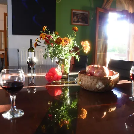 Aparthotel Mikro Xorio