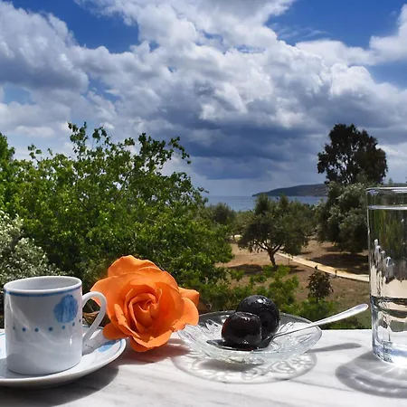 Mikro Xorio Aparthotel