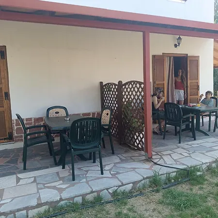 Mikro Xorio 3*