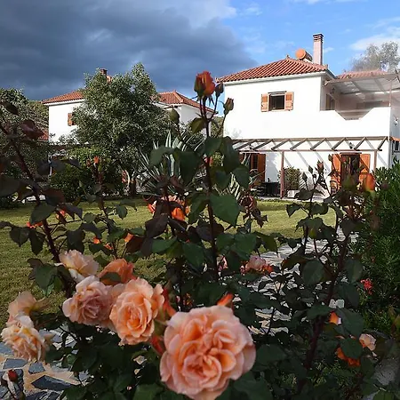 公寓式酒店 Mikro Xorio 3*