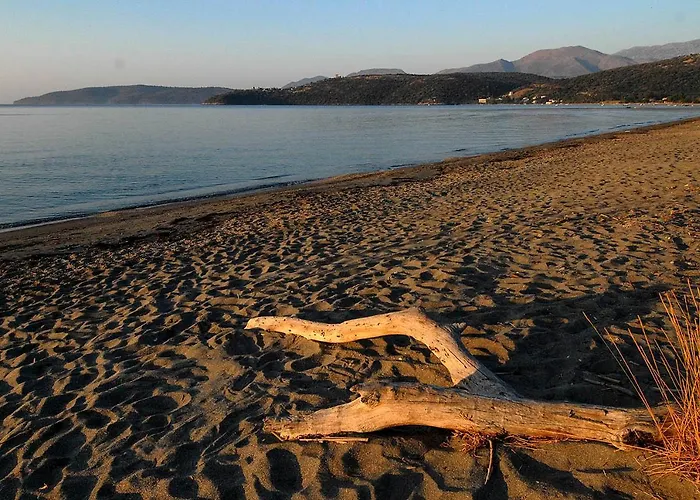 Mikro Xorio 3* Вати