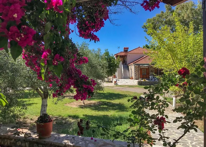 Mikro Xorio 3* Вати